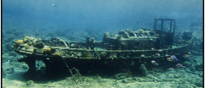 Tugboat Curacao Divers Deutsche Tauchschule Tauchen Tauchurlaub Urlaub entspannen Unterwasser Non Limit Freiheit selbstständig Karibik